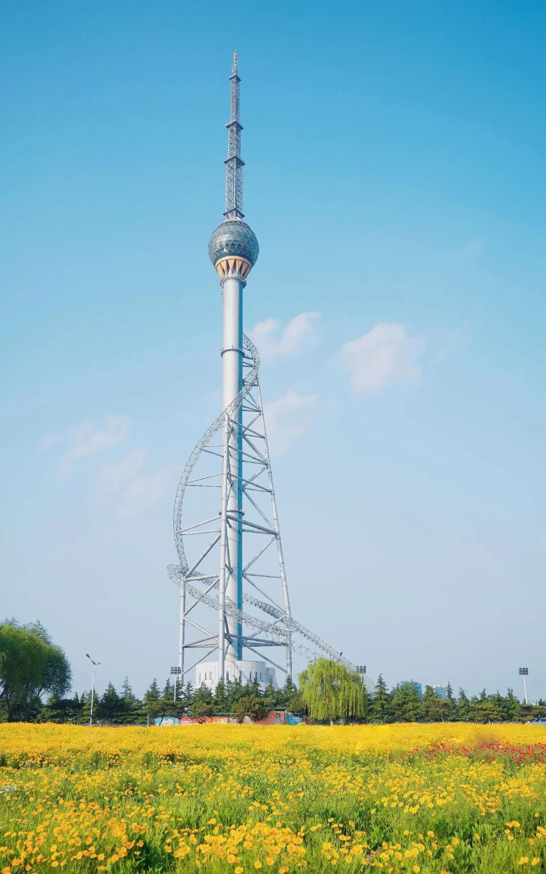 微信图片_2025-12-31_105428_726.jpg