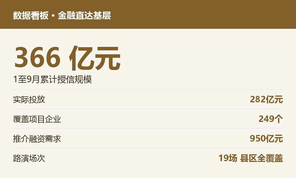 临沂金融直达基层授信与投放数据看板